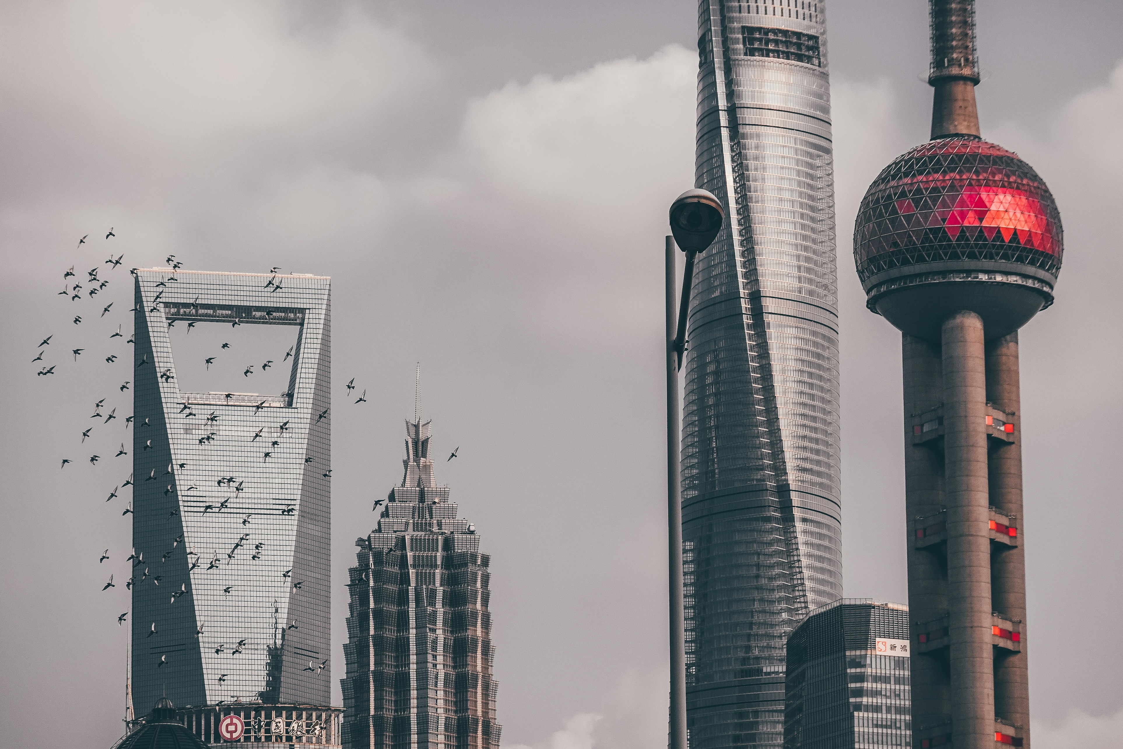 681768d0dbd36972bc162b51_Pudong Pearl Tower 3 copy.jpeg